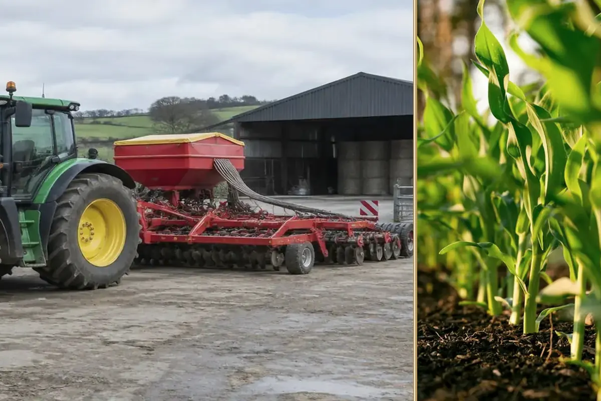 Small Wind Turbine Finance for Farms practical finance considerations